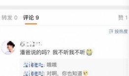 潘伟博最新爆料消息视频,事件真相与幕后黑幕