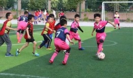 足球小将家长爆料视频,揭秘赛场背后的感人故事