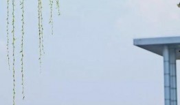 早春手机在线观看,春意盎然，浪漫时光尽收眼底